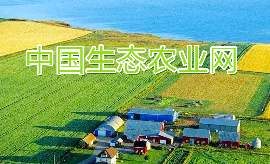 中国生态农业产业联盟